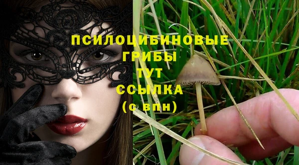 шишки Беломорск