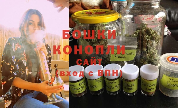 шишки Беломорск