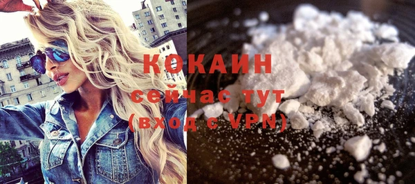 шишки Беломорск