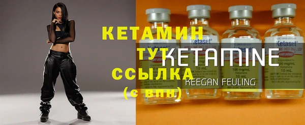 шишки Беломорск