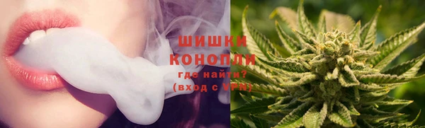 шишки Беломорск