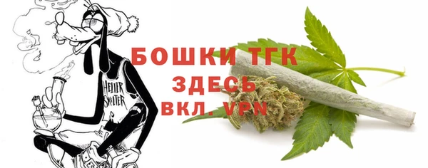 шишки Беломорск