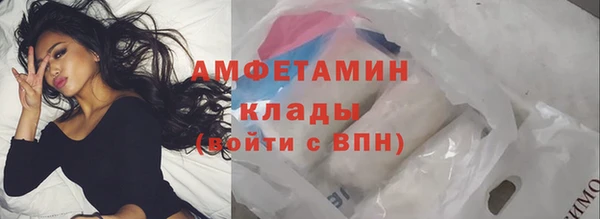 шишки Беломорск
