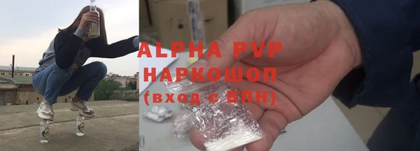 ПСИЛОЦИБИНОВЫЕ ГРИБЫ Белокуриха