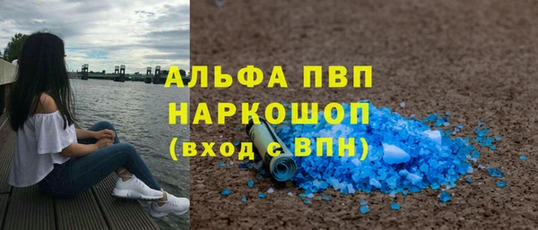 шишки Беломорск