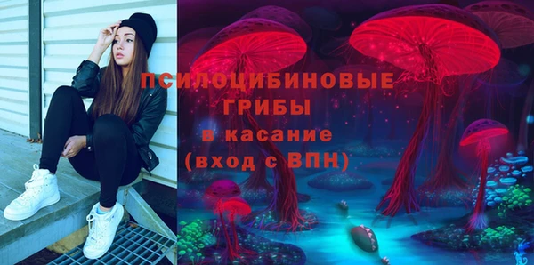 шишки Беломорск
