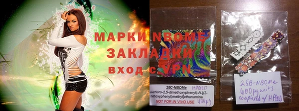 ПСИЛОЦИБИНОВЫЕ ГРИБЫ Белокуриха