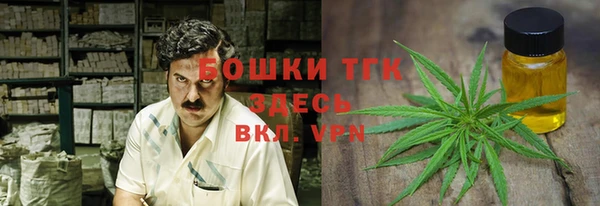 ПСИЛОЦИБИНОВЫЕ ГРИБЫ Белокуриха